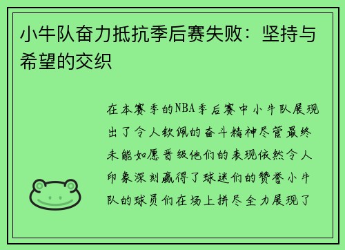 小牛队奋力抵抗季后赛失败：坚持与希望的交织